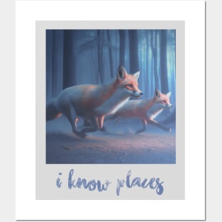 I know places aesthetic Posters and Art